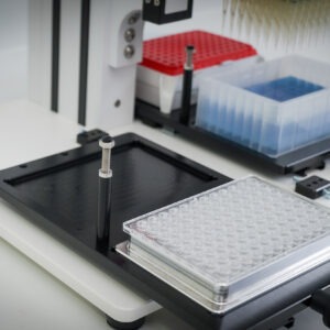 Axon